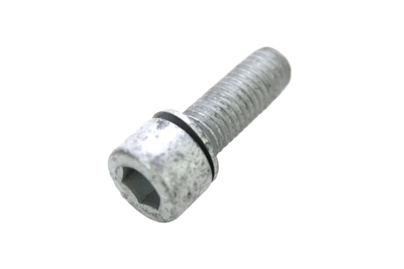 Rear Haldex Drain Plug N91082701