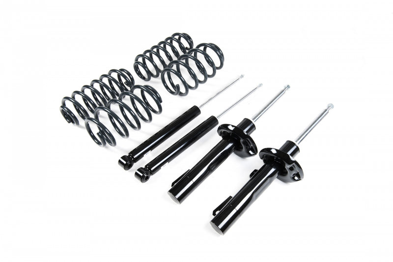 Racingline VWR30G7GT Sport Shock And Spring Kit