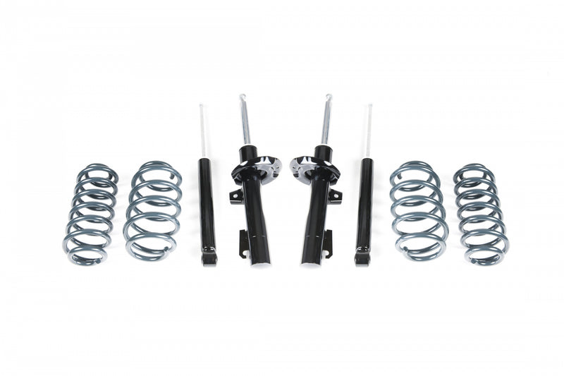 Racingline VWR30G7GT Sport Shock And Spring Kit