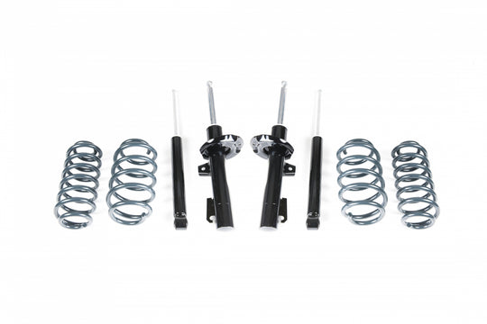 Racingline VWR30G70R Sport Shock And Spring Kit