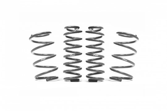 Racingline VWR3130RS Sport Spring Kit