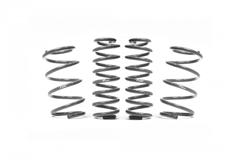 Racingline VWR3141S4 Sport Spring Kit