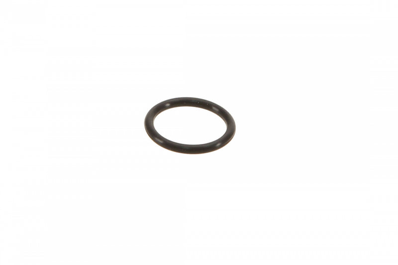 Camshaft Adjustment Valve Seal WHT002789