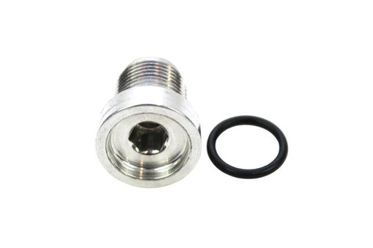 Differential Drain/Fill Plug WHT007168